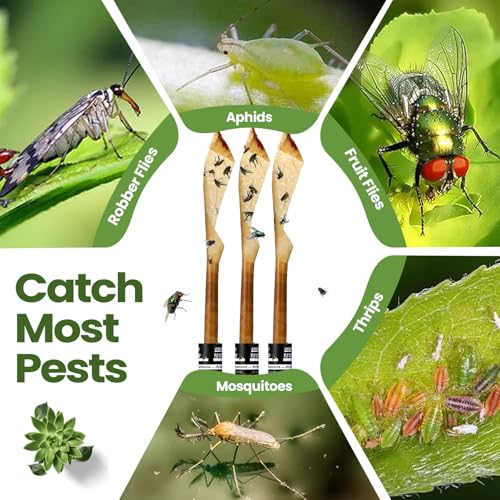 Qualirey 80 Pack Fly Strips Sticky Fly Trap Indoor Outdoor Hanging Ribbon Tape Paper Flying Insect Trap Gnat Killer Traps Catcher for Fruit Flies, Bug, Insect, Pest (Black) - color: Black
