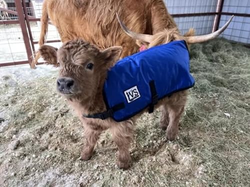 IVS ThermaCalf Calf Blanket – Thermal Insulated Livestock Jacket with Adjustable Buckle Straps - size: Small
