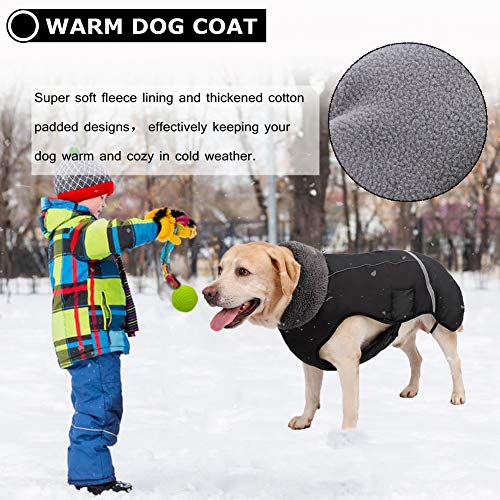 QBLEEV Warm Dog Coat, Reflective Dog Jacket, Waterproof Dogs Winter Coat - color: Black, size: Medium