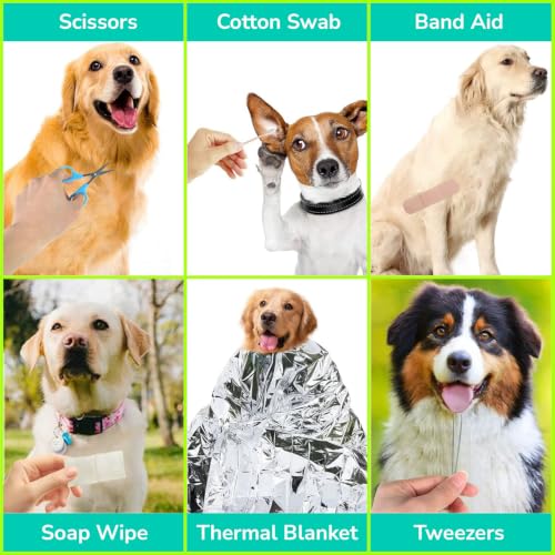 Pet First Aid Kit - Pocket Emergency Pack, Travel & Outdoor, 11 Tools