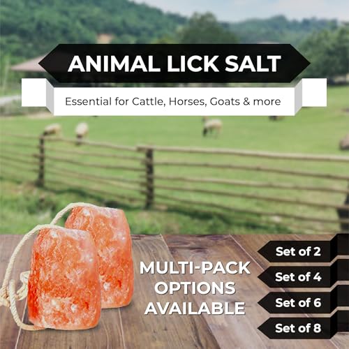 Himalayan Pink Salt Licks for Animals – Natural Salt Block with Rope for Horses, Cows, Deer & More – No Harmful Elements - Approximately 9 lbs (Pack of 2)