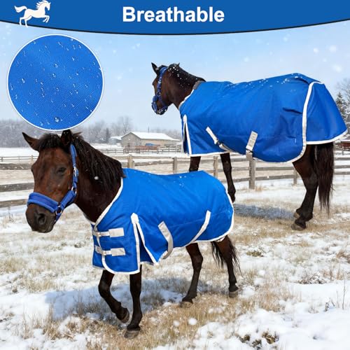 Miniature Horse Pony Horse Blanket, 1200D Winter Turnout Blanket for Pony Breeds/Tiny Horse/Small Breed Horse/Foal,Donkey Blanket Medium Weight with 220g Polyester Liner(51inch, Blue) - size: 100cm-51inch