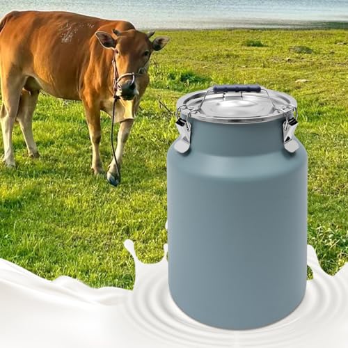 DYNAMI 3.2Gal Stainless Steel Airtight Canister,Large Metal Food Storage Container,Stainless Steel Bucket Milk Can Milk Jug With Lid&Handle, for Kitchen Rice Flour Coffee Bean (Blue) - color: Blue