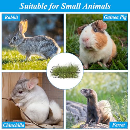 6 Pack Hay Feeder Rabbit with Hooks Heavy Duty, 9x4x3 Inch - color: Black