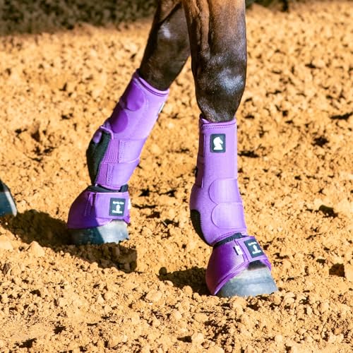 Classic Equine Legacy2 Support Boots, Front (Violet Purple, Small) - color: Violet Purple, size: Small