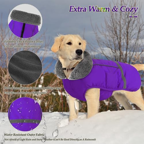 Dogcheer Warm Dog Coat, Christmas Dog Jacket Waterproof Puppy Winter Coat with Buckles, Reflective Adjustable Pet Snow Jacket Turtleneck Fleece Sweater for Small Medium Large Dogs - Purple, M - color: Purple, size: Medium