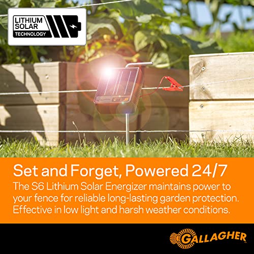 Gallagher Garden & Backyard Pet Protection Kit | Solar Electric Fence Kit for Deer, Rabbits, and Pets | 48in Posts with Polywire | Powers 200ft | Lithium Solar Energizer | Reliable Garden Protection