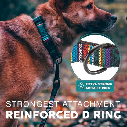 Embark Dog Collar - Adjustable Heavy Duty Outdoor Pet Training Collar - color: Mayan, size: Medium
