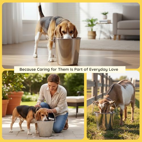 6 quart Heavy Duty Stainless Steel Round Bucket with Handle | 1.5 gal Sturdy Food & Water Bowl for XL Dogs Cats Goat sheep & Livestock | Fits kennel Crate Cage Farm | Hanging Utility Pail - size: 6 Quarts