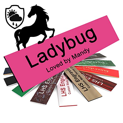 Personalized Horse Stall Name Plates, 2x6 Horse Stall Signs with Adhesive, All Weather UV Protected, Pink Plastic Black Letters - Made in USA - B12 - color: B12 - Pink/Black, size: 2in x 6in (5.1cm x 15.2cm)