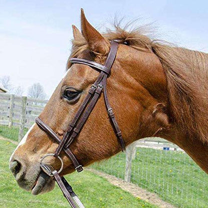 Everyday Raised Fancy Stitched Leather English Schooling Bridle with Laced Reins St. Steel Hardware with 1 Year Warranty. - color: Chestnut, size: Warmblood