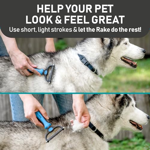 Maxpower Planet Pet Grooming Brush and 2X Grooming Gloves Combo - Double Sided Dematting, Deshedding Undercoat Rake for Dogs and Cats - Reduce Shedding Easily - Blue - color: A1 - Rake & Glove (Best Value), size: Large