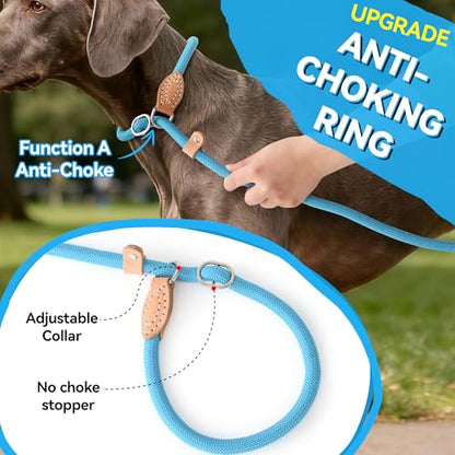 Mile High Life Heavy Duty Slip Lead No Pull Leash 6/5/4FT for Large Dogs - color: Blue, size: 4 Feet