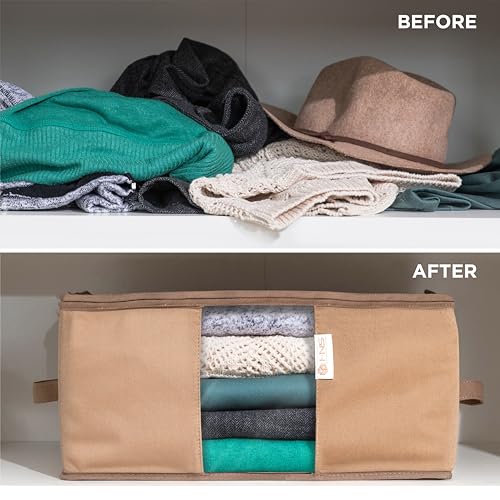Cedar Clothes Storage Bag Organizer, Protects From Moths, Set of 2, Beige - color: Beige