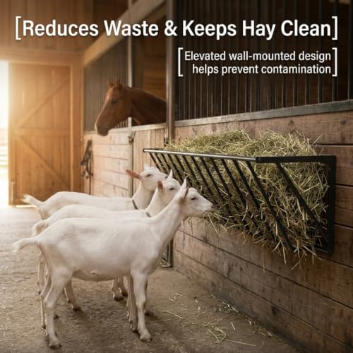Stall Hay Feeder Wall Mount, Carbon Steel Goat Rack - Livestock Barn Feeding Solution