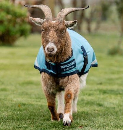 Horseware® Goat Coat (100g Light) - color: Delphinium Blue/Navy, size: L