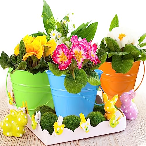 Sadnyy 6 Pack Pastel Small Metal Galvanized Bucket with Handle 5" | Pastel Small Mini Metal Galvanized Buckets, Colorful Wire Handle, Easter Party Candy Container, Table Centerpiece for Vase - color: Bright Color
