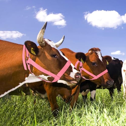 M METERXITY 2-Pack Adjustable Cattle Cow Calf Halter, 13.78"-17.7" Nylon Livestock Cow Halter for Miniature Horse/Donkey/Goat/Cattle [Black/Pink]