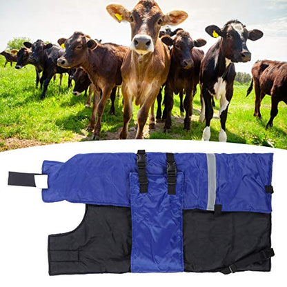 39 x 35 Inch Waterproof Calf Blanket, for Cold Winter to Keep Calves Warming, with Reflective Strip and Quick Release Buckles, Windproof Oxford Cloth for Calf Goat Horse Coat Jacket