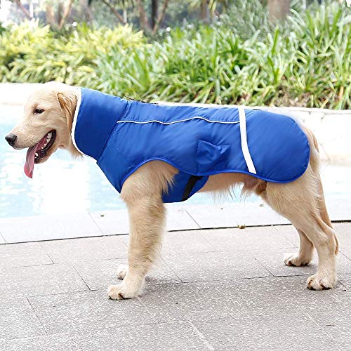 QBLEEV Warm Dog Coat, Reflective Dog Jacket, Waterproof Dogs Winter Coat - color: Blue, size: Medium