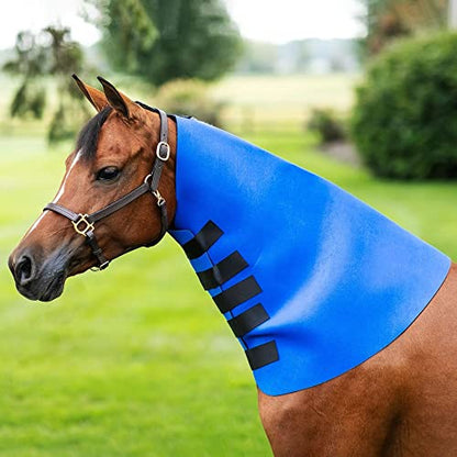 Dura-Tech Superior Neck Sweat for Horses | Horse's Sculpting Aid | Designed by Professionals | Stretchy Neoprene Adjustable Closure | Achieve Quick Results | Size Large - size: Large