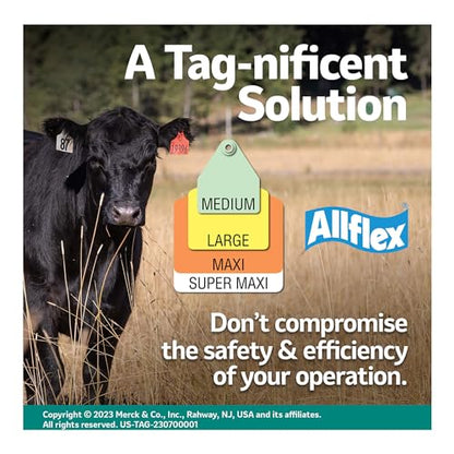 ALLFLEX USA GLF/GSMY 115451 Ear Tag, Blank, Yellow, Large