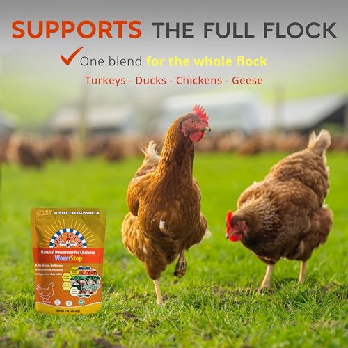 Buff Clucks WormStop Natural Chicken Dewormer Powder – All-Natural Herbal Blend for Daily Wellness - Chicken Wormer is Safe for Eggs & All Ages - Garlic, Pumpkin Seed, Wormwood - USA (8 oz)