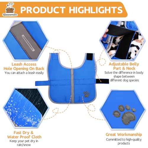 Queenmore Cold Weather Dog Coats Loft Reversible Winter Fleece Dog Vest Waterproof Pet Jacket Available in Extra Small, Small, Medium, Large Extra Large Sizes - color: Blue, size: Small