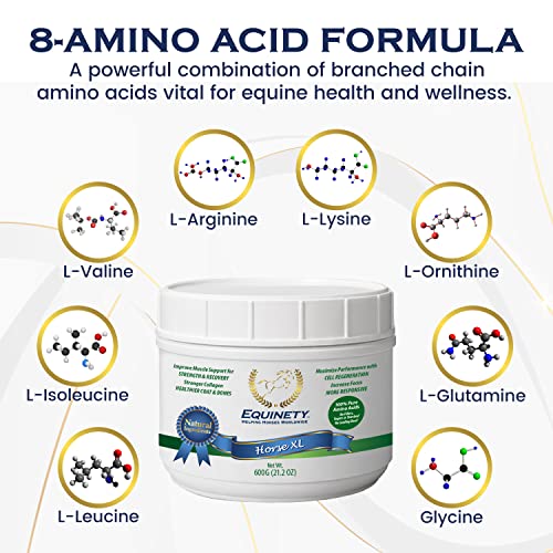 100-Day Supply Equinety Horse XL Powder Horse Supplement with Amino Acids - style: Horse XL