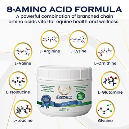 100-Day Supply Equinety Horse XL Powder Horse Supplement with Amino Acids - style: Horse XL