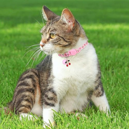 BINGPET Cat Collar Breakaway with Bell, Cute Kitten Collar - color: Fruit-3pcs