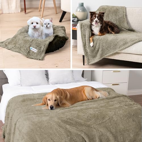 PetAmi Fluffy Sherpa Waterproof Dog Blanket for Large Pet Cat, 40x60 Taupe - color: Taupe, size: Large (40x60)