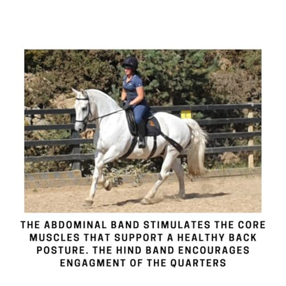 Core Conditioning Saddle Pad & Band System for Horses - style: All Purpose