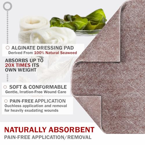 EVERLIT AG Silver Calcium Alginate Wound Dressing | Absorbent Non-Stick Sterile Dressing Pad | Gentle Hemostatic Gauze with Natural Gelling Fiber for Wound Care (4" x 4" | Pack of 20) - size: 4" x 4" | Pack of 20