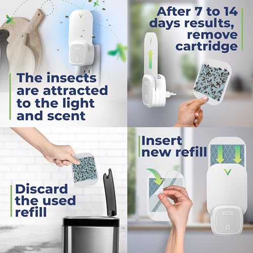 VEYOFLY Fruit Fly Traps Indoor Plug-in UV, Gnat Trap, 4 Device + 6 Refills - size: 4 Devices + 6 Refills