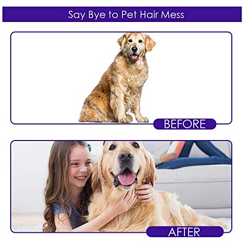 Pet Hair Removal Glove with 255 Silicone Tips for Dogs & Cats,1 Pair Purple