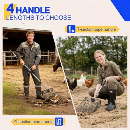 12 inch Large Chicken Poop Scooper Rake with Sifting Litter Shovel, Stainless Steel Handle (25 to 66"), Heavy-Duty Poultry Litter Scoop for Chicken Coop for Sand & Farm Pet Waste Cleaning
