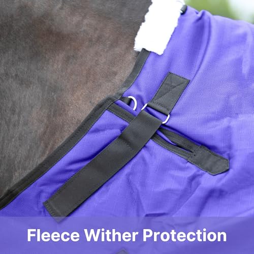 RESISTANCE Premium 1200 Denier Waterproof Horse Turnout Blanket with 300g Polyfill & Adjustable Buckle Closure - color: Purple, size: 81"