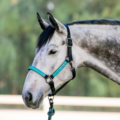 Kensington Premium Breakaway Halter with Padded Nose — Added Breakaway Safety Measures — Snap at Throat for Identical Fit Each Time - color: 2021 - Atlantis, size: X-Large