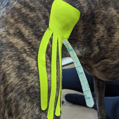VetkinTape Canine & Equine Kinesiology Tape | Veterinary Tape 2.4" - color: Lime