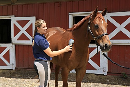 Oster Equine Care Series Finishing Brush, Soft Bristle, Natural Hog Hair, Blue - color: Blue, size: One