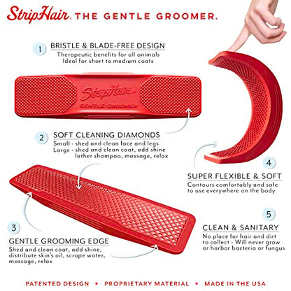 StripHair Pet & Home 3 Piece Kit, Dog Cat, Coat Grooming