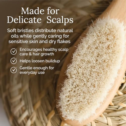 Natemia Wooden Baby Hair Brush - Natural Goat Hair Bristles - Gentle Soft Bristles for Scalp Massage - Cradle Cap Comb for Flake Removal - For Baby Grooming Kit & Toddler Hair Brush - size: 1 PC - Oval Brush