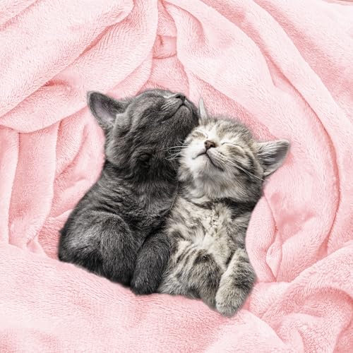 Utopia Bedding Ultra Soft Fleece Bed Blanket Throw Size Pink (50x60 Inches) - color: Pink, size: Throw (50x60 Inch)