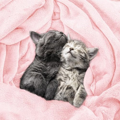 Utopia Bedding Ultra Soft Fleece Bed Blanket Throw Size Pink (50x60 Inches) - color: Pink, size: Throw (50x60 Inch)