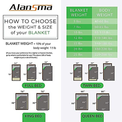 ALANSMA Reversible Weighted Blanket for All Season, Luxury Velvet, Warm and Cool, Adult Kids 5Lb Weighted Blanket, Enjoy Sleeping Anywhere(Grey,36"x48" 5lbs) - color: Grey, size: 36''x48'' 5lbs