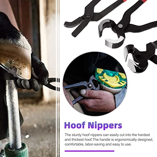 Swpeet 12Pcs Professional Farrier Tools with Roll Pack, Horses Hoof Trimmers Shears, Farrier Rasp File, Hoof Nipper, Horseshoe Brush, Hoof Knife, Horse Round Mouth Unloading Pliers, Horse Nail Pliers