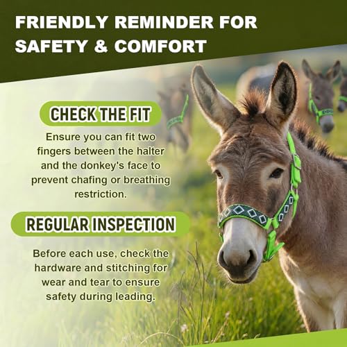 1 Set Mini Donkey Halter with Lead Rope Adjust, Bright Green - color: Bright Green