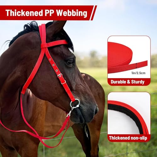 Draft Horse Bridle Anti-Tear Horse Riding Headstall | Equine Snaffle Noseband, Adjustable Soft Lined Equestrian Browband for Outdoor Use - size: Large