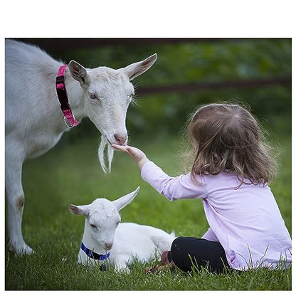 Goat Collars With Bell, 3 Pack Adjustable Nylon Collar Set For Sheep, Cow, Horse, Anti-Lost Bronze Bell Accessories For Small Farm Animal Pets